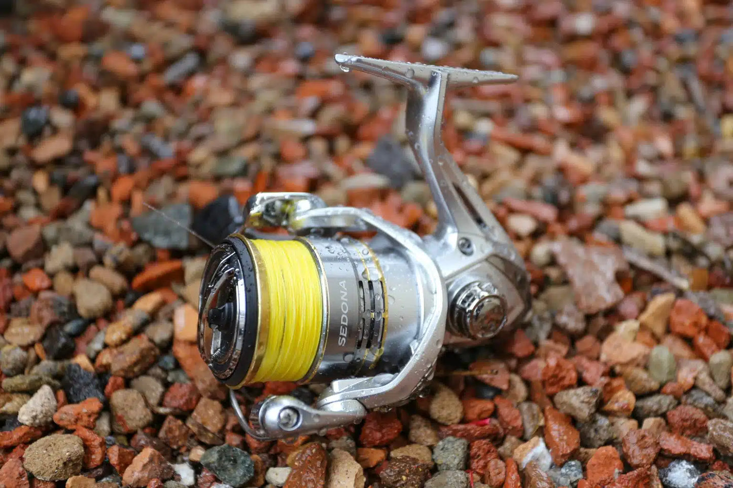 Shimano Sedona FJ Reel