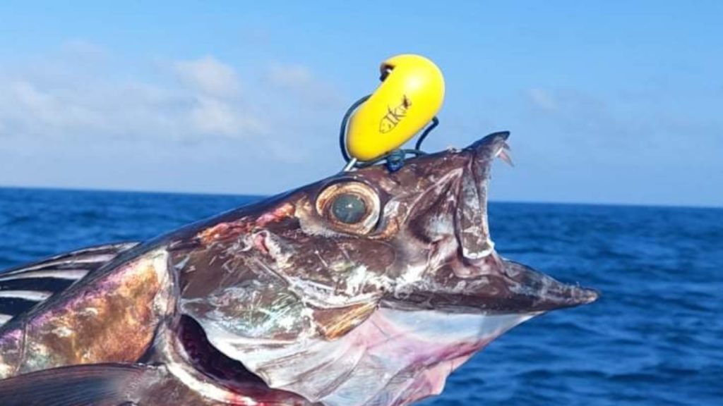 Ikipik - Fish Spike