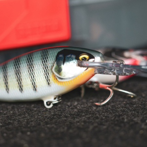 Rapala Shad Wrap Elite 95 Gilded