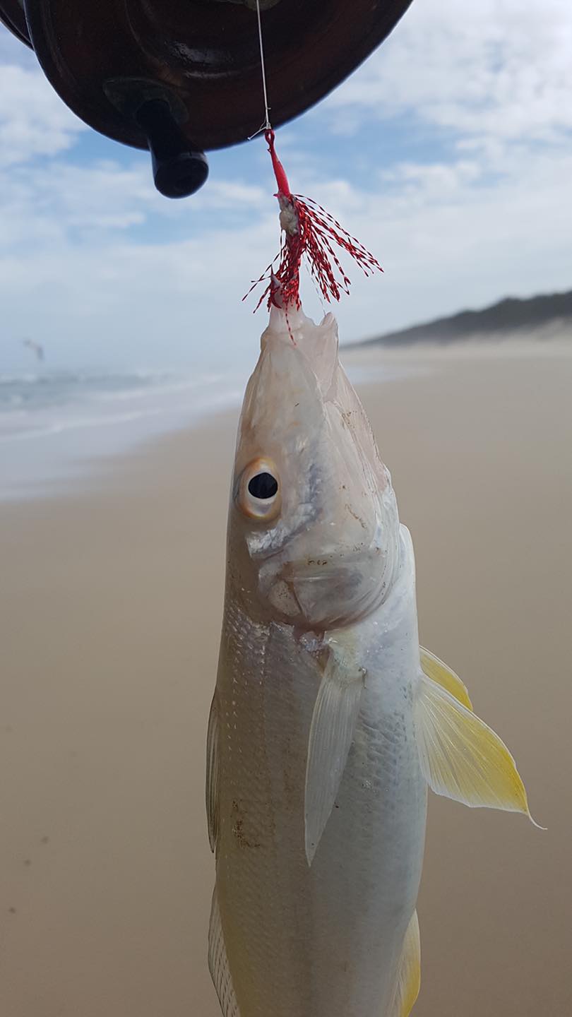 OM Flasher Whiting Hooks #2