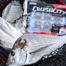 Crush City Trickster (Crab) 1.5"