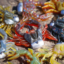 Crush City Trickster (Crab) 1.5"