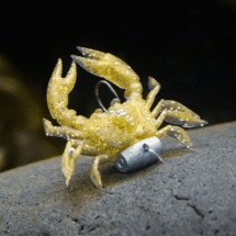 Crush City Trickster (Crab) 1.5"